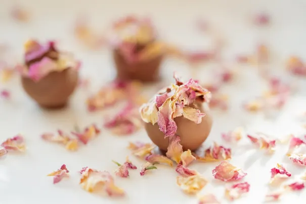 Andromeda Kazino Android/iOS Lietotne